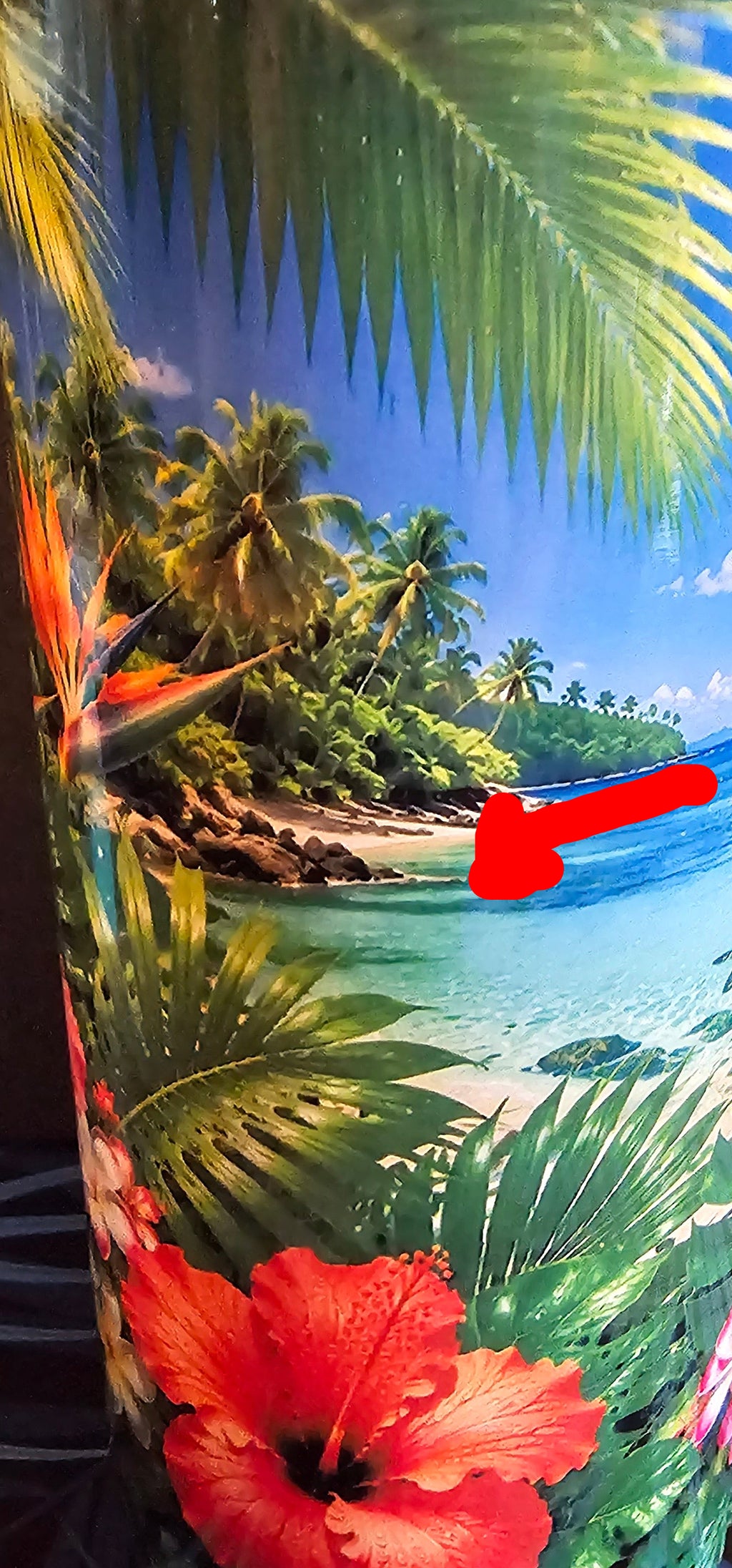 IMPARFAIT Bouteille Isotherme La Tortue en Vacances